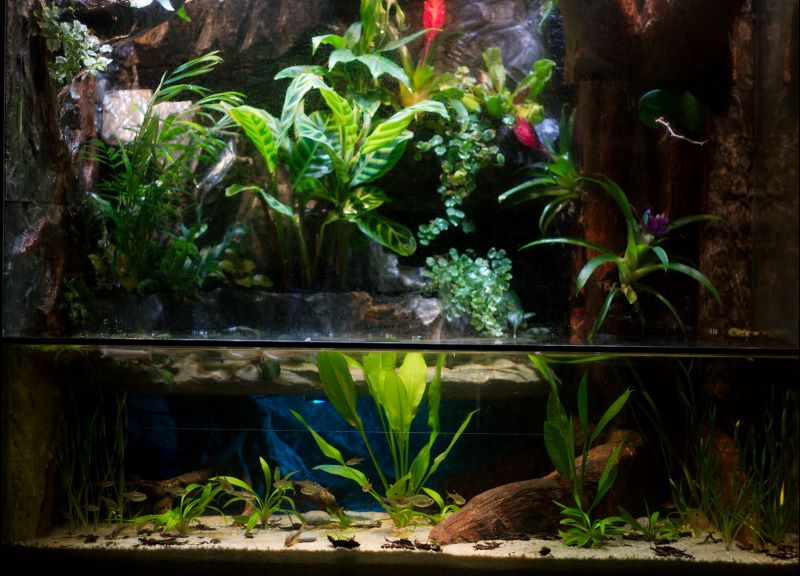 VM controlled paludarium